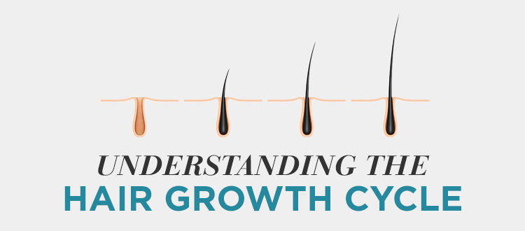 understand the hair growth cycle