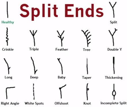 split-ends-graph