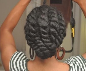 african american natural hair twist hairstyle